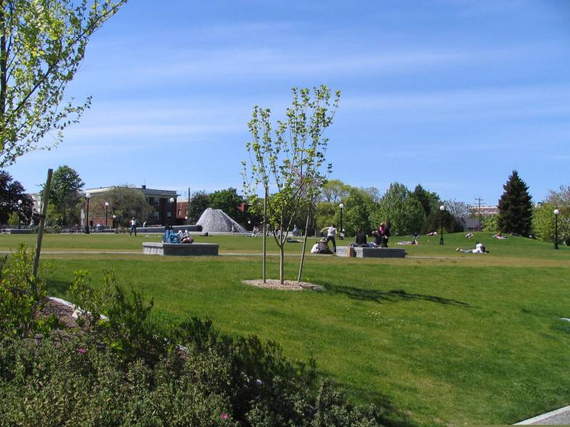 Cal Anderson Park, Seattle, WA