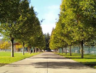 Wilsonville Memorial Park, Wilsonville, OR